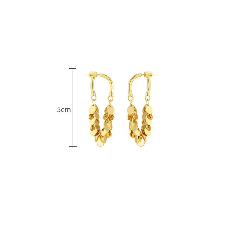 Luxury Delicate Long Tassels Drop Earrings Fashion Versatile Exaggerate Metal