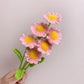 Finished Knitted Bouquet Artificial Flowers Hand Woven Daisy Flower Decorations Handmade Crochet Flower